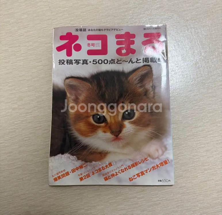 일본 고전 빈티지 고양이 책 잡지--0