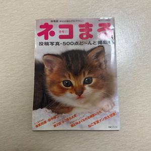 일본 고전 빈티지 고양이 책 잡지