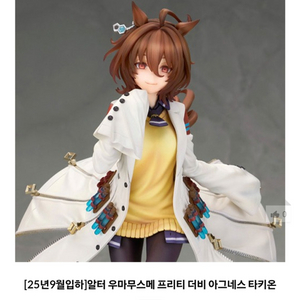 알터 우마무스메 아그네스 타키온 1/7 피규어 양도