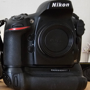 니콘 D800e
