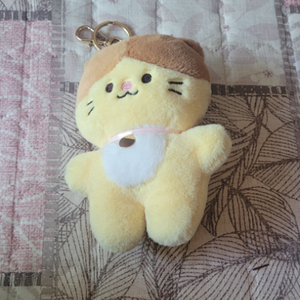 고양이인형