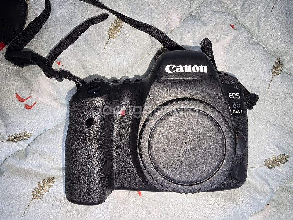 캐논 EOS 6D MARK2 팝니다--2