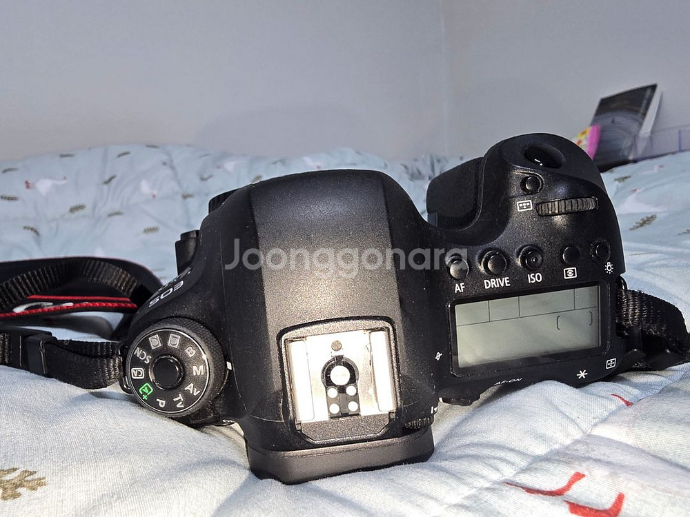 캐논 EOS 6D MARK2 팝니다--1