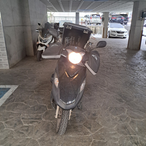 20년식 vf100