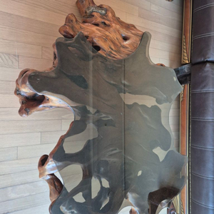 오동나무(괴목,뿌리,원목) 거실테이블 이미지