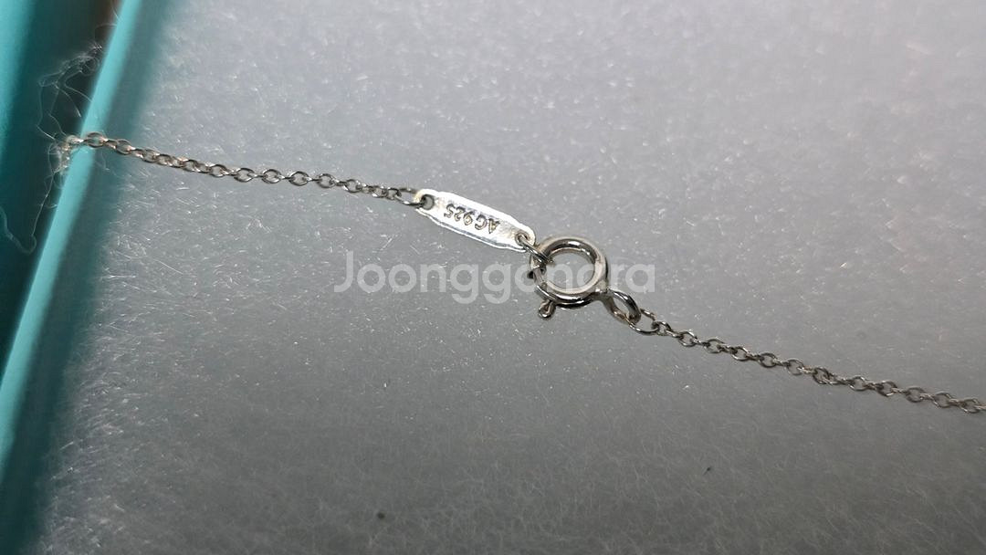 Tiffany&Co Blue Enamel Splash--3