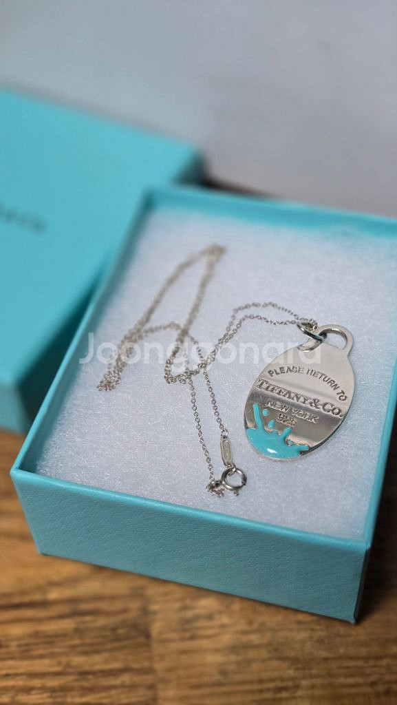 Tiffany&Co Blue Enamel Splash--4
