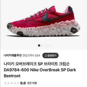 나이키 오버브레이크 SP 브라이트