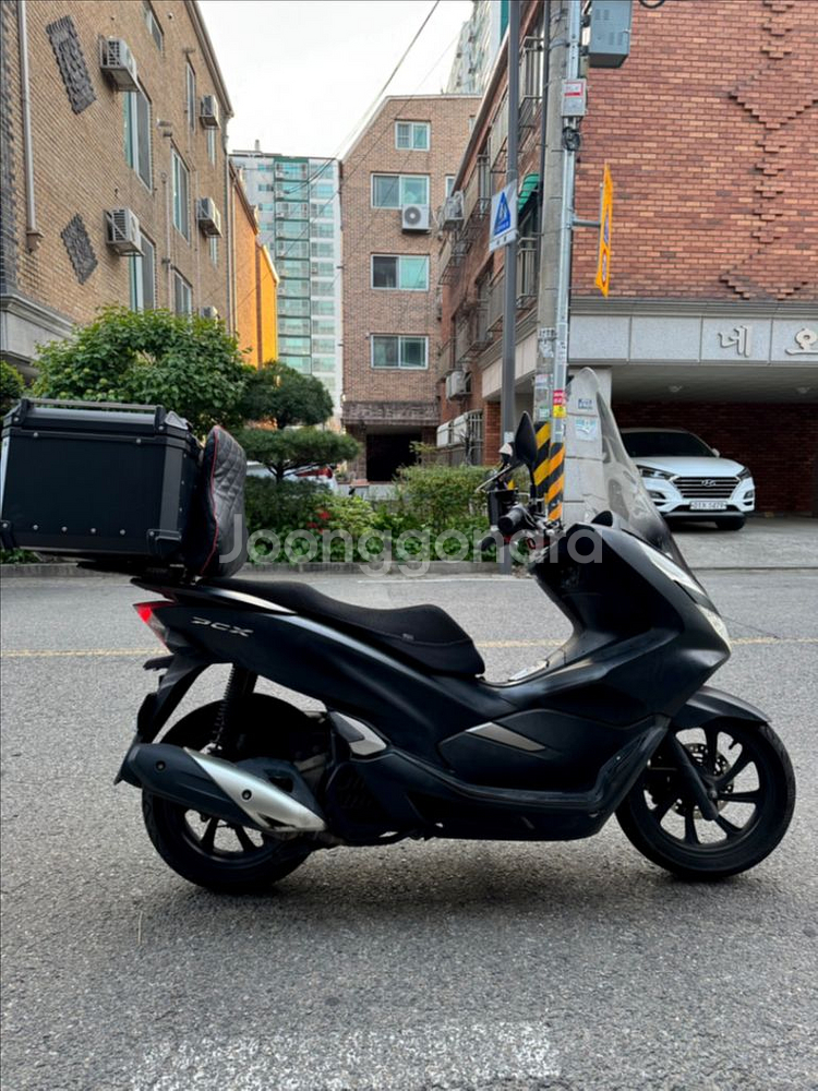 혼다 pcx125 19년식 무사고--4