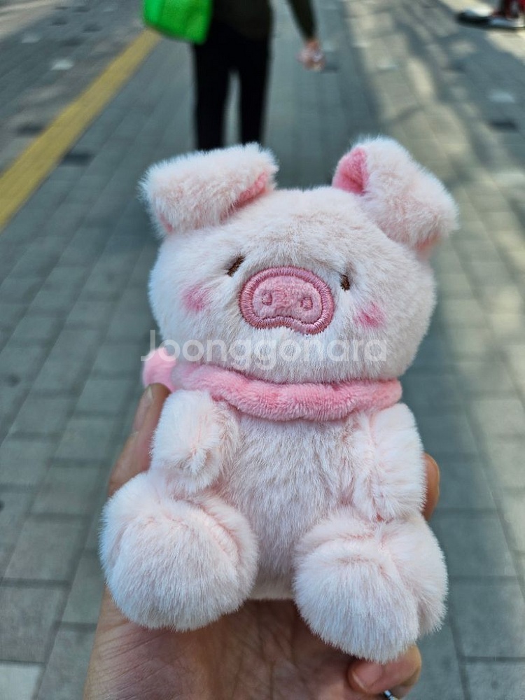반택포 리본 돼지 인형 키링--0