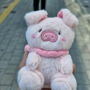 반택포 리본 돼지 인형 키링