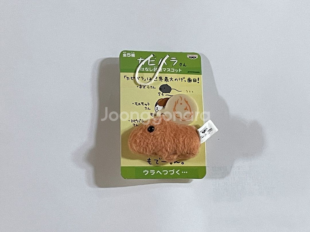 카피바라상 미니 키링--1