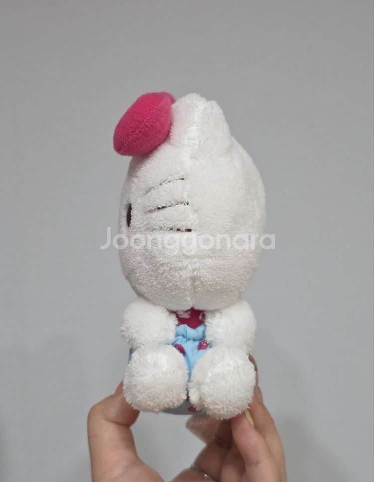 06년도 고전 딸기키티인형 뚠빵키티 초소형키티 뽀실키티--2
