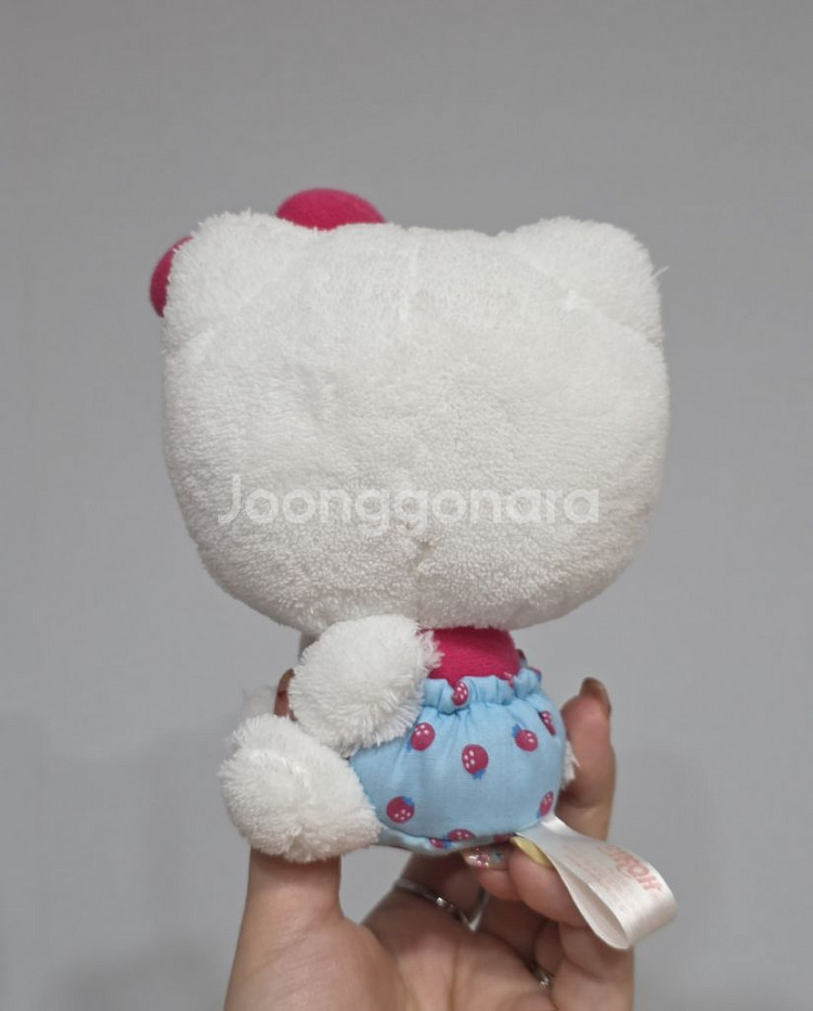 06년도 고전 딸기키티인형 뚠빵키티 초소형키티 뽀실키티--3