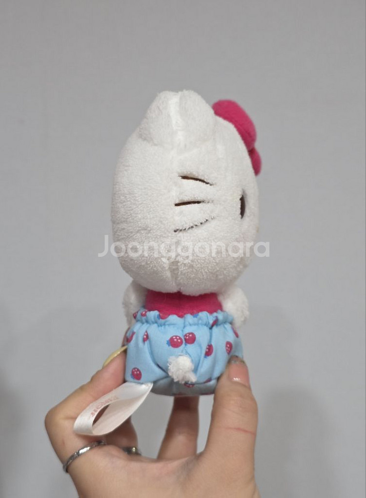 06년도 고전 딸기키티인형 뚠빵키티 초소형키티 뽀실키티--1