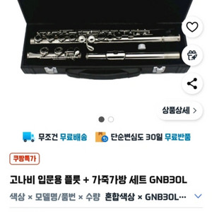 고나비 입문용 플룻