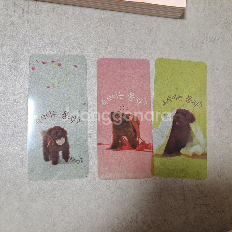 속삭이는 몽자 서적 책 에세이 판매 유튜브 강아지 푸들--3