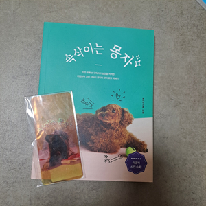 속삭이는 몽자 서적 책 에세이 판매 유튜브 강아지 푸들