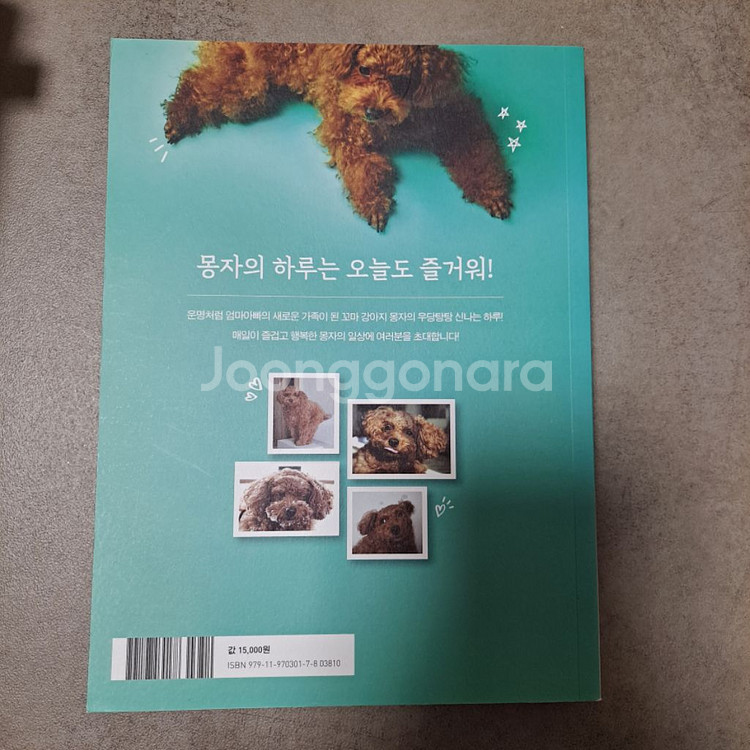 속삭이는 몽자 서적 책 에세이 판매 유튜브 강아지 푸들--2
