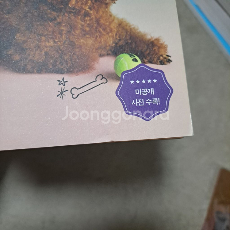 속삭이는 몽자 서적 책 에세이 판매 유튜브 강아지 푸들--4