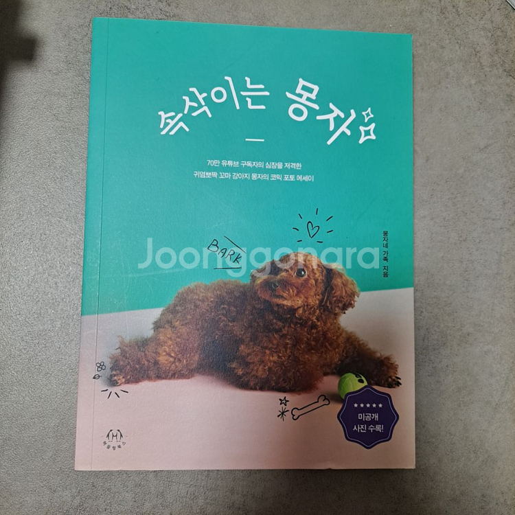 속삭이는 몽자 서적 책 에세이 판매 유튜브 강아지 푸들--1