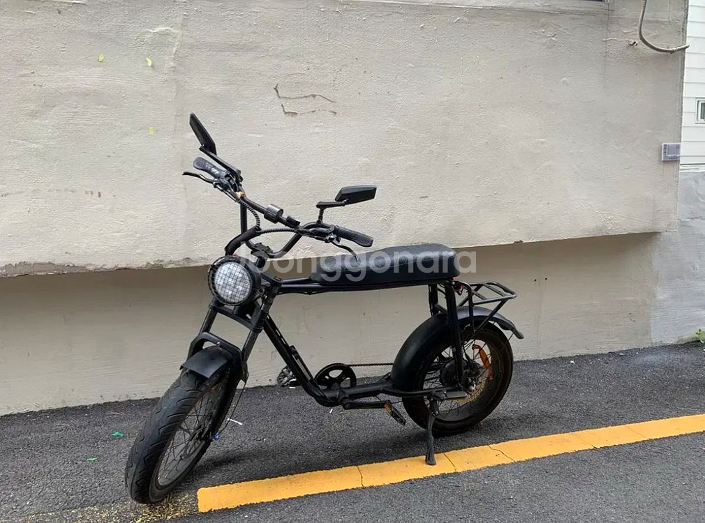 자토바이 엑스라이더 1000w--0