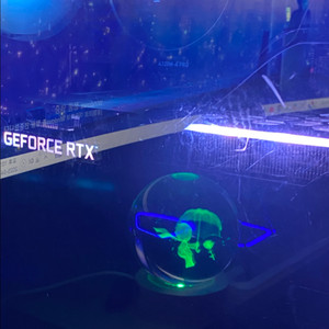 rtx3060 12gb