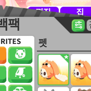 입양하세요 펫 판매합니다!