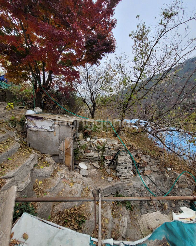 단독 서울시내 오래된 주택--4