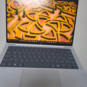 HP 엘리트북 g1i 1TB 258v 5G 셀룰러