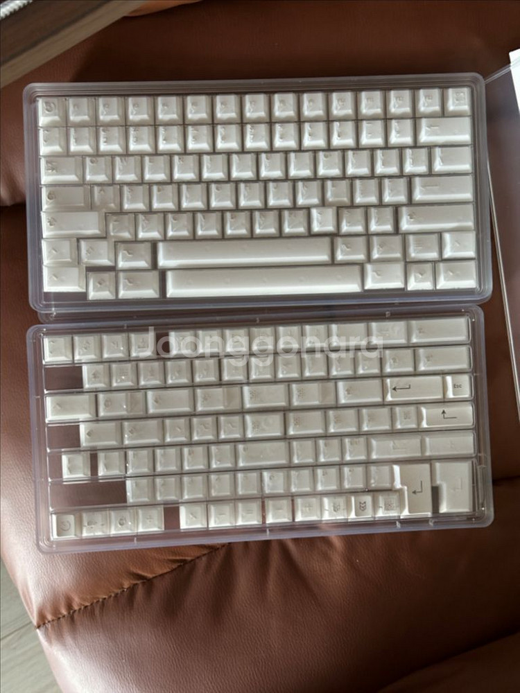 pbtfans xray 키캡--1