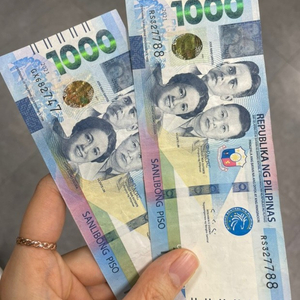필리핀 페소 (1페소당 25.9원)
