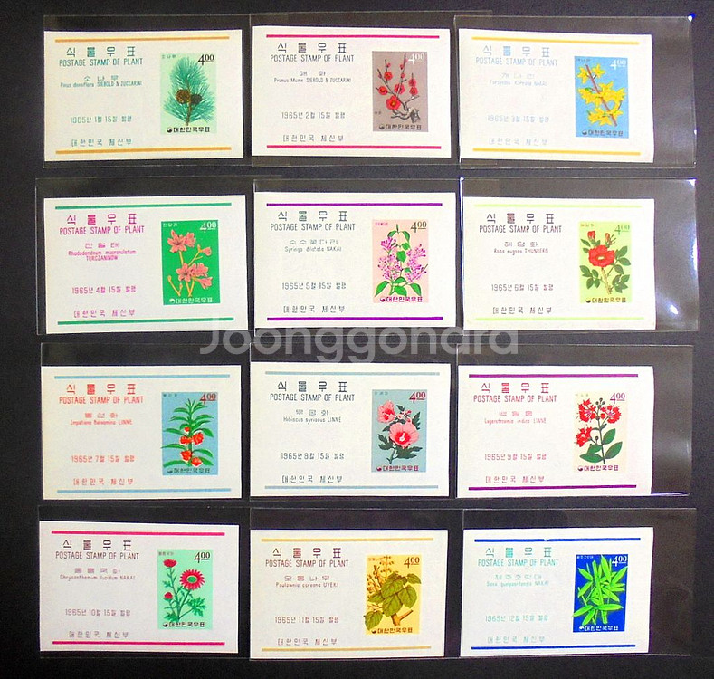 1965년 식물시리즈(식물우표) 시트 우표 12종--0