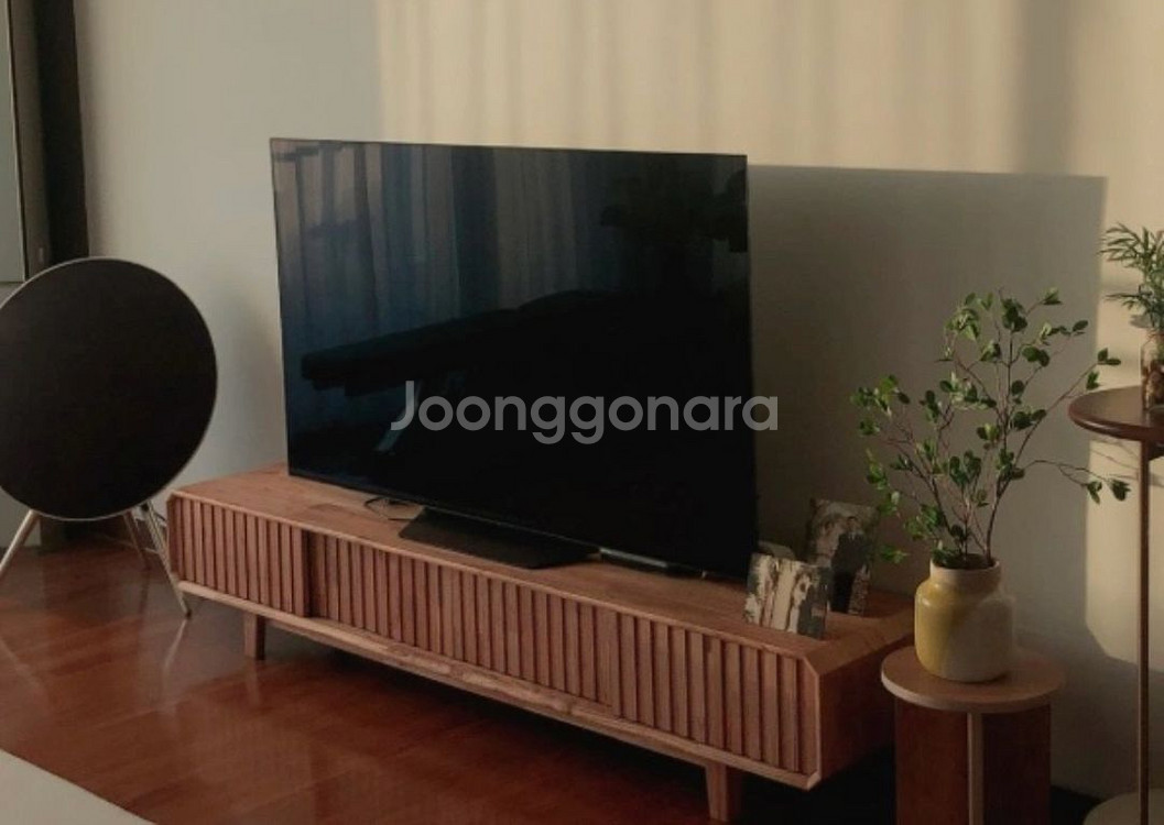 LG 올레드AI ThinQ 65인치/상태최상,스탠드ㅇ--2