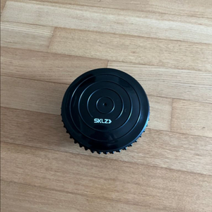 스킬즈 벨런스볼 미니