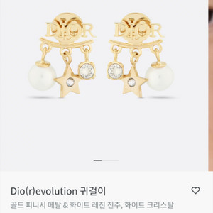 디올 정품 레볼루션 귀걸이