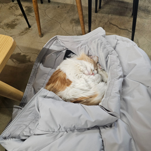 한화이글스 5/7일 밤켈존(야외잔디석) 티켓 삽니다.