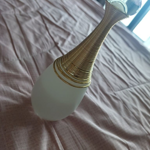 디올 자도르 퍼퓸 도 오드 퍼퓸 100ml