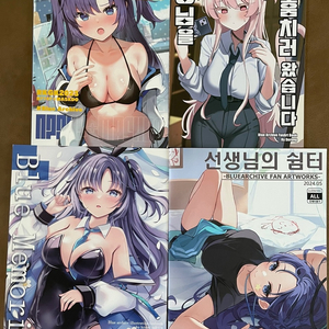 블루아카이브 일러스트 북 4권