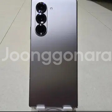 폴드6 실버 256--0