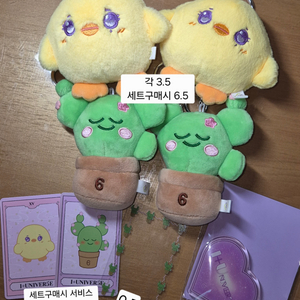 아이유 삐삐 다육이 키링 투명포카 그립톡 (서비스O)