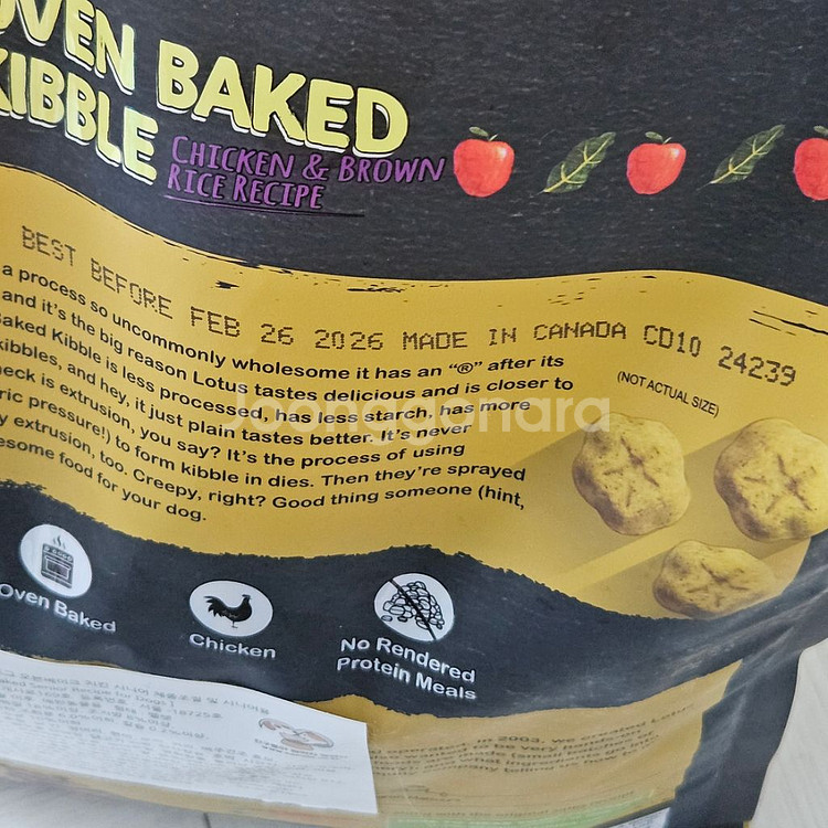 로투스 시니어 오븐 베이크 2kg--3
