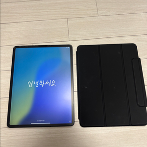 아이패드 프로 4세대 12.9인치 512gb 셀룰러