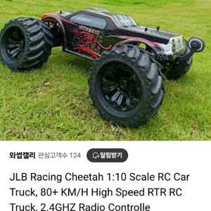 rc카 치타 새제품