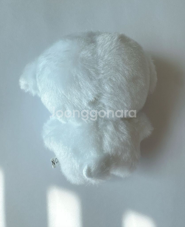 세븐틴 정한 퐁하니 인형 8cm--1