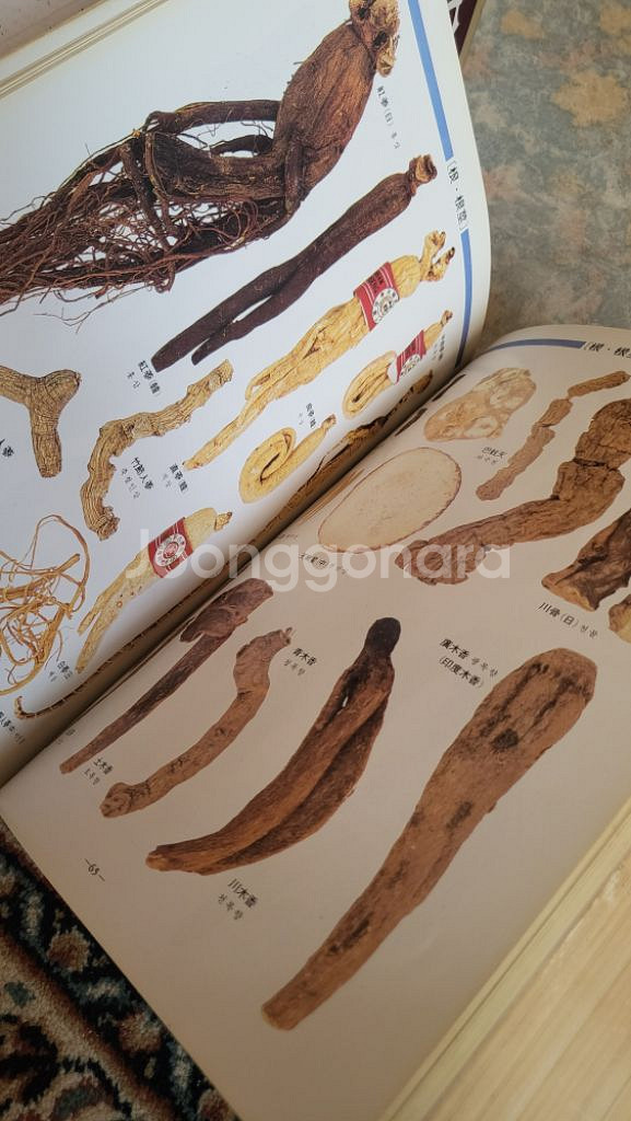 현대인의 생활 한방 책 서적 약재 약사 건강 고전 옛날--2