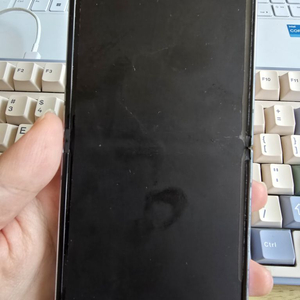 플립4 블루 512기가