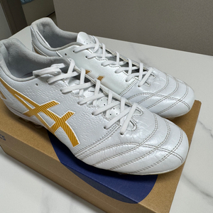 아식스 DS LIGHT PRO AG (255) 축구화