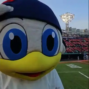 롯데자이언츠 야구 5/4.5.6일 5연석 단체석 삽니다