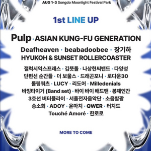 2025 펜타포트 티켓 양도